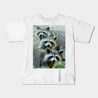 Three Raccoon Kids T-Shirt